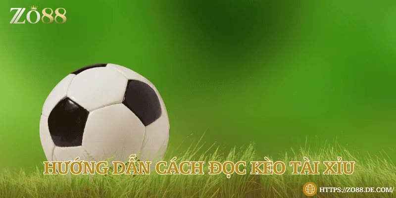 Đọc kèo tài xỉu nhanh chóng chỉ trong vòng một phút