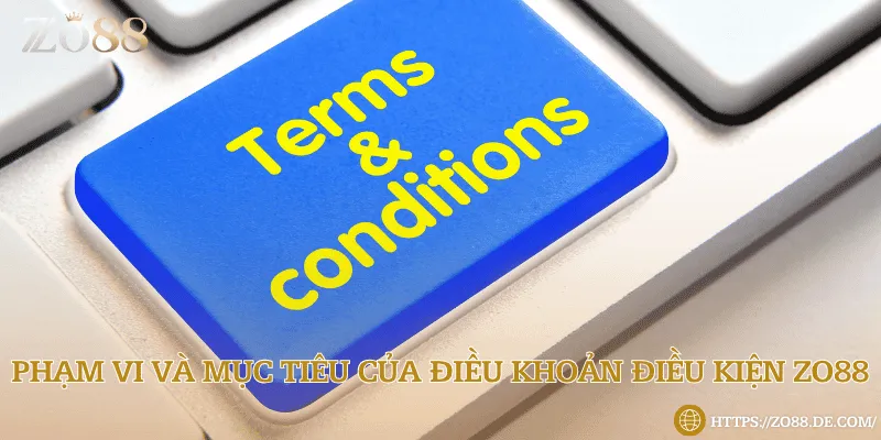 Phạm vi và mục tiêu của điều khoản điều kiện Zo88