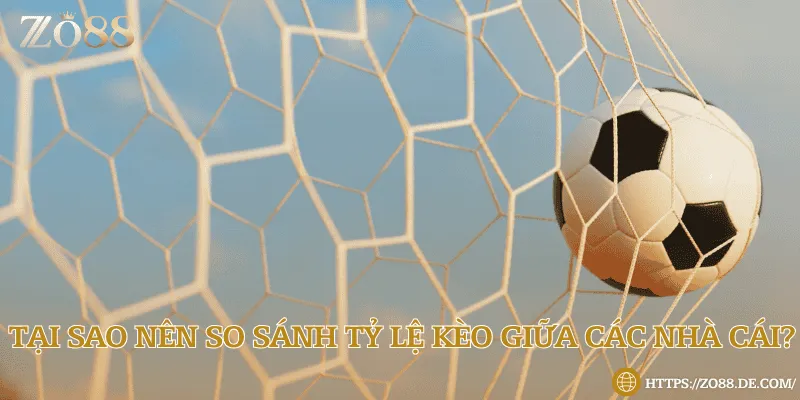 Vì sao cần so sánh tỷ lệ kèo giữa các nhà cái?